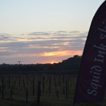 Cellar door sunset view