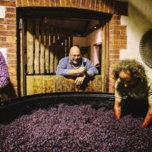 160324_SG (30 of 74)