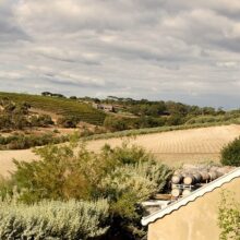 Gorge Panorama. baggrund